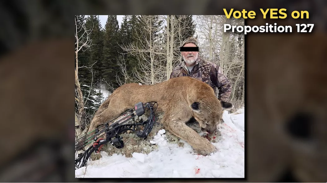 Yes on Prop 127 – Trophy Hunting